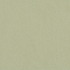 Beachy Keen # 1004 Pistachio by Maxwell Fabric