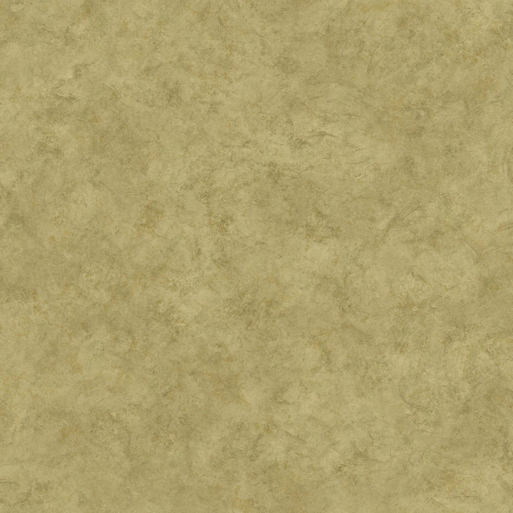 Safe Harbor Moss Marble Faux Effects Wallpaper by Chesapeake Boy's Rock Covers about 56.4 square feet 20.5-in by 33-ft long roll Prepasted 20.5 - Fabric Carolina -
