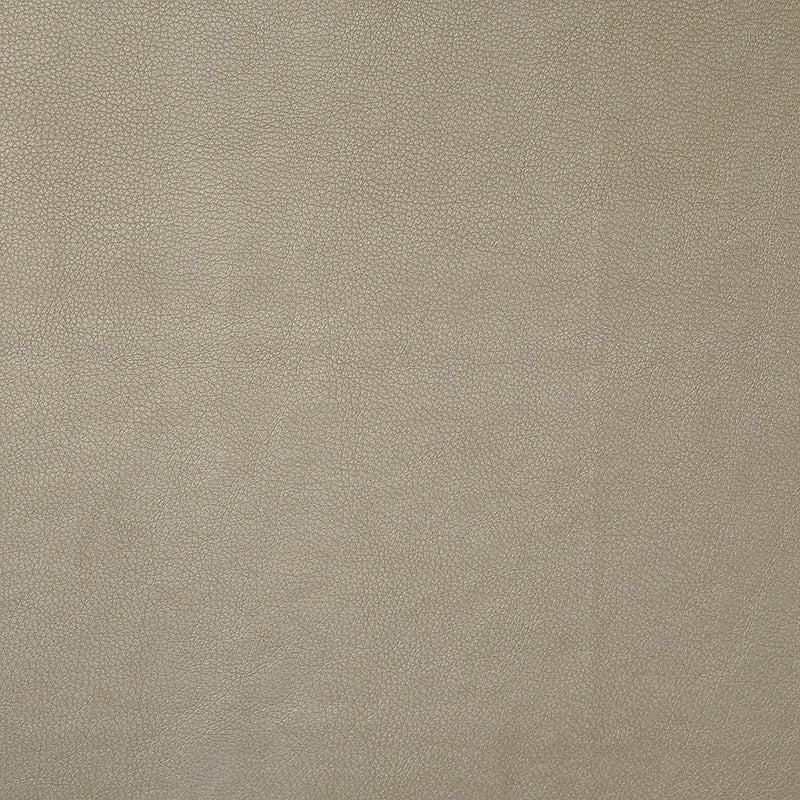Bling # 500 Egyptian by Maxwell Fabric EASY RIDER II 100% POLYURETHANE CHINA </p><p>Repeat: Horizontal: and Vertical: 54" - Fabric Carolina -