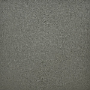 Bewitched # 253 Fossil by Maxwell Fabric