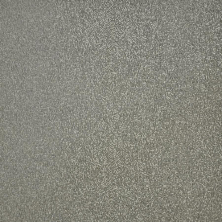 Bewitched # 256 Chia by Maxwell Fabric Easy Rider V FACE: 100% PVC
BACKING: 75% POLYESTER/25% COTTON TAIWAN 54" - Fabric Carolina -