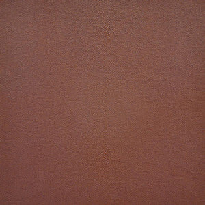 Bewitched # 264 Sedona by Maxwell Fabric