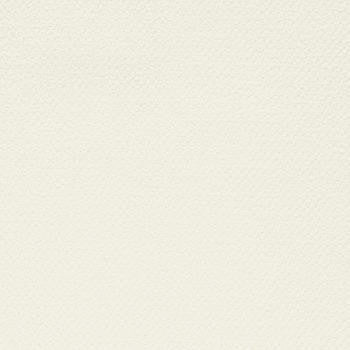 Badge Cashmere by Crypton Fabric See sample 100% Polyester 50000 Horizontal: Not Applicable and Vertical: Not Applicable 54" - Fabric Carolina -