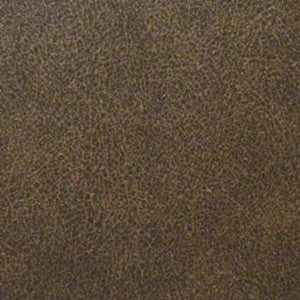 Baron Driftwood by Nassimi Fabric