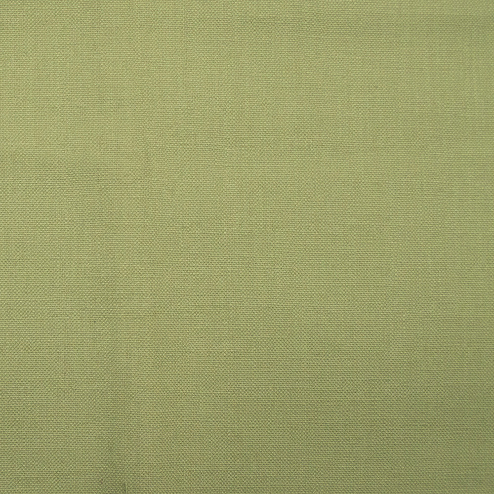 Barry Green Tea by Europatex Fabric Barry 100% Cotton 0.00" 55.00 inches - Fabric Carolina -