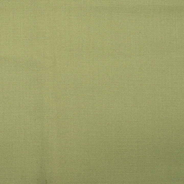 Barry Green Tea by Europatex Fabric Barry 100% Cotton 0.00" 55.00 inches - Fabric Carolina -