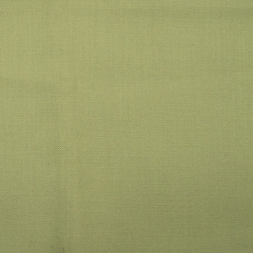 Barry - Green Tea by Europatex Fabric Barry 100% Cotton China See Sample Horizontal: N/A and Vertical: N/A   - Fabric Carolina -