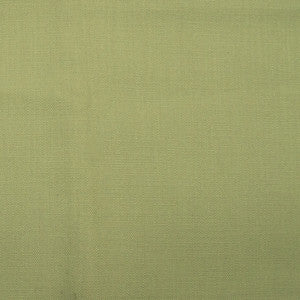Barry Green Tea by Europatex Fabric