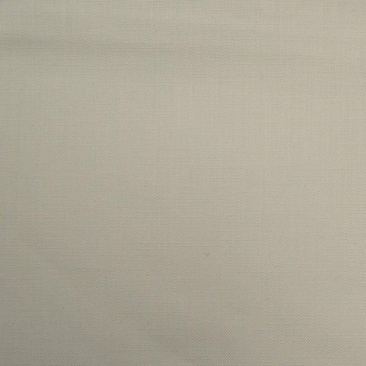 Barry Off White by Europatex Fabric Barry 100% Cotton 0.00" 55.00 inches - Fabric Carolina -