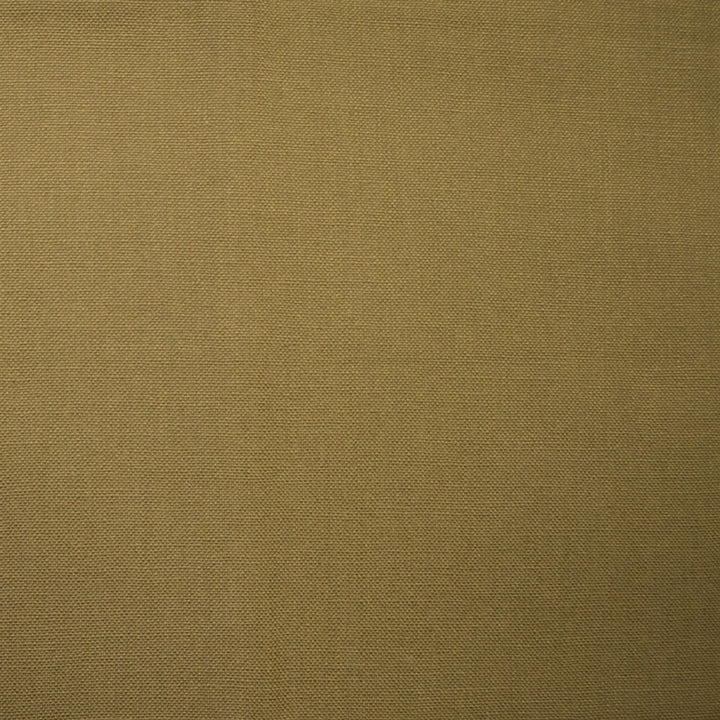 Barry Pecan by Europatex Fabric Barry 100% Cotton 0.00" 55.00 inches - Fabric Carolina -