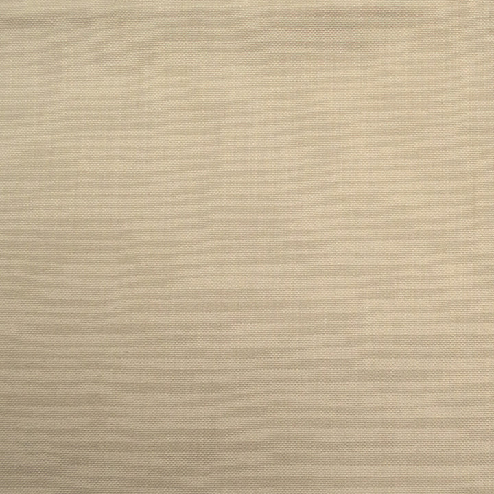 Barry Powder by Europatex Fabric Barry 100% Cotton 0.00" 55.00 inches - Fabric Carolina -