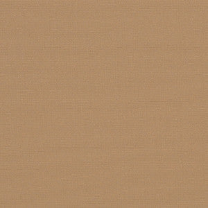 4620 Beige by Sunbrella Fabric