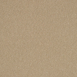 Bella Beige by Crypton Fabric