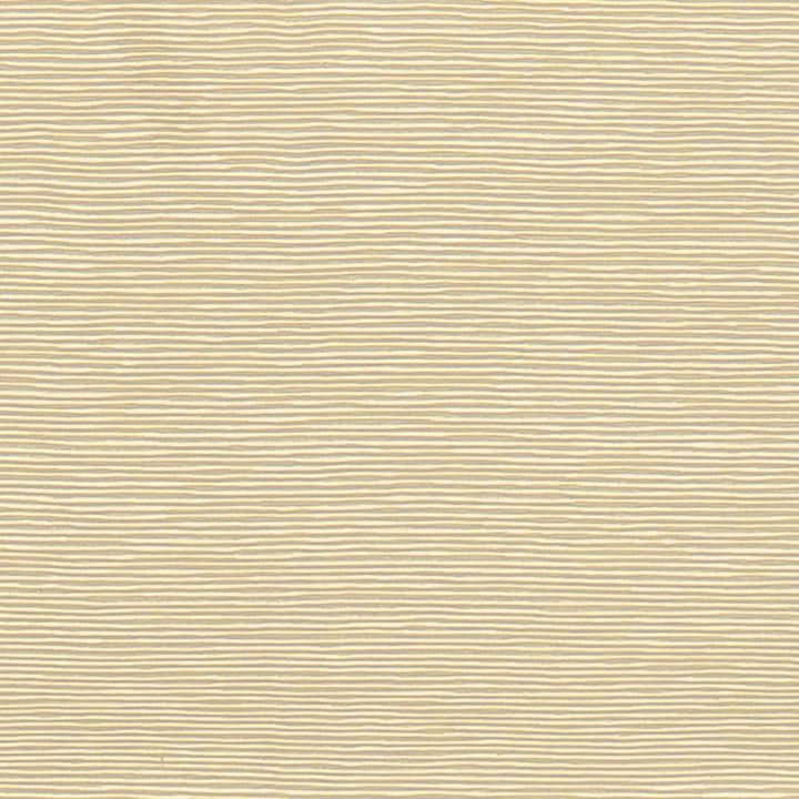 Bengaline 2 by Europatex Fabric Bengaline 72% Rayon, 28% Polyester China 40,000 Double Rubs Horizontal: N/A and Vertical: N/A 56" - Fabric Carolina -