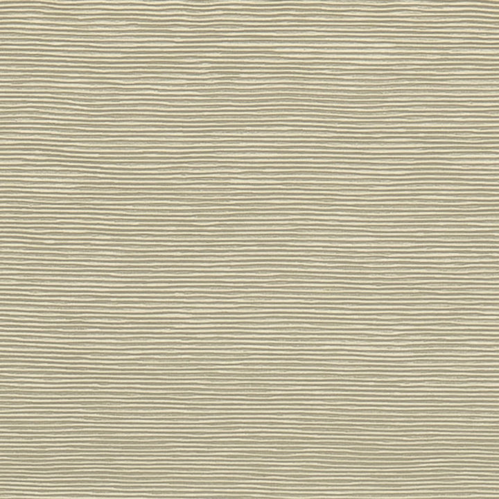 Bengaline 3 by Europatex Fabric Bengaline 72% Rayon, 28% Polyester China 40,000 Double Rubs Horizontal: N/A and Vertical: N/A 56" - Fabric Carolina -