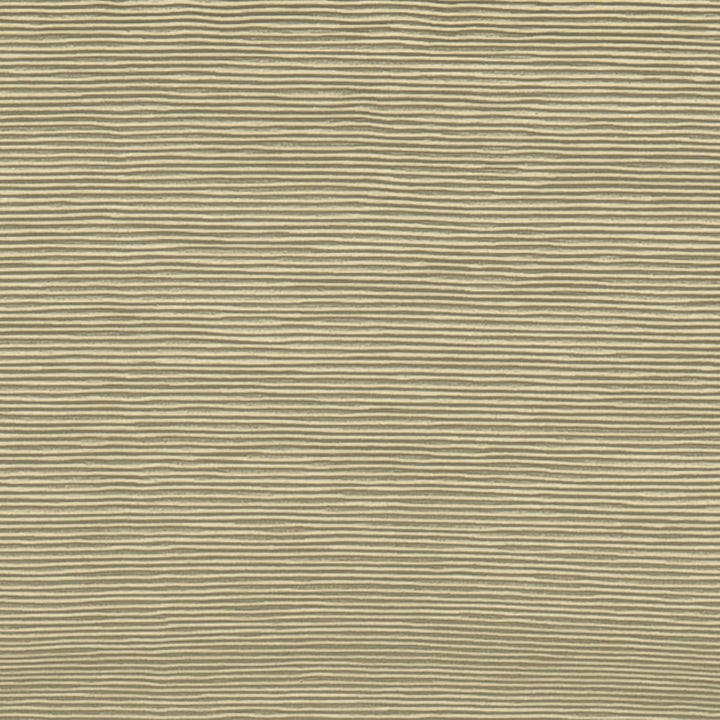 Bengaline 6 by Europatex Fabric Bengaline 72% Rayon, 28% Polyester China 40,000 Double Rubs Horizontal: N/A and Vertical: N/A 56" - Fabric Carolina -