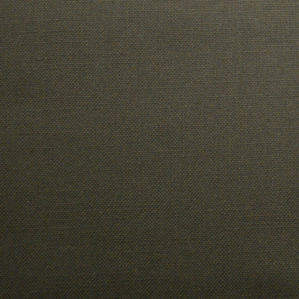Barry Chia by Europatex Fabric Barry 100% Cotton 0.00" 55.00 inches - Fabric Carolina -