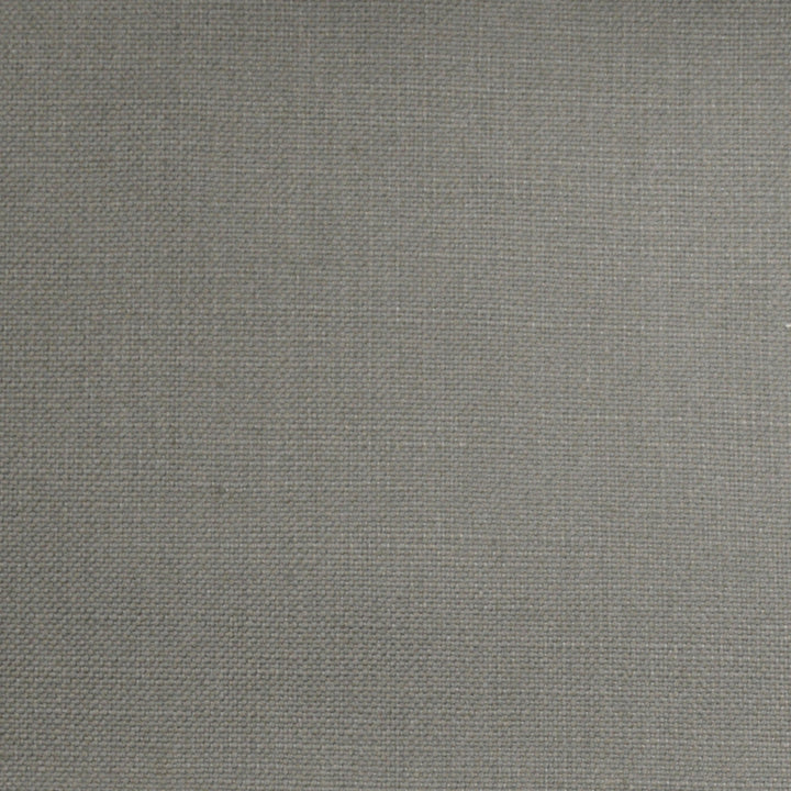 Barry Feather by Europatex Fabric Barry 100% Cotton 0.00" 55.00 inches - Fabric Carolina -