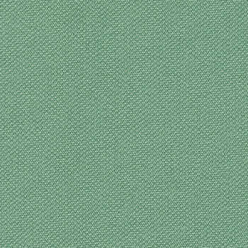 Berwick Tweed Sea Glass BRW-1500 by Burch Fabric our website for purchase 100% Vinyl USA or Asia Water-based cleaning agents and foam may be used for cleaning. This fabric may also be cleaned with mild, water-free solvents. Cleaning by a professional cleaning service is recommended. Horizontal: - and Vertical: - 54" - Fabric Carolina -