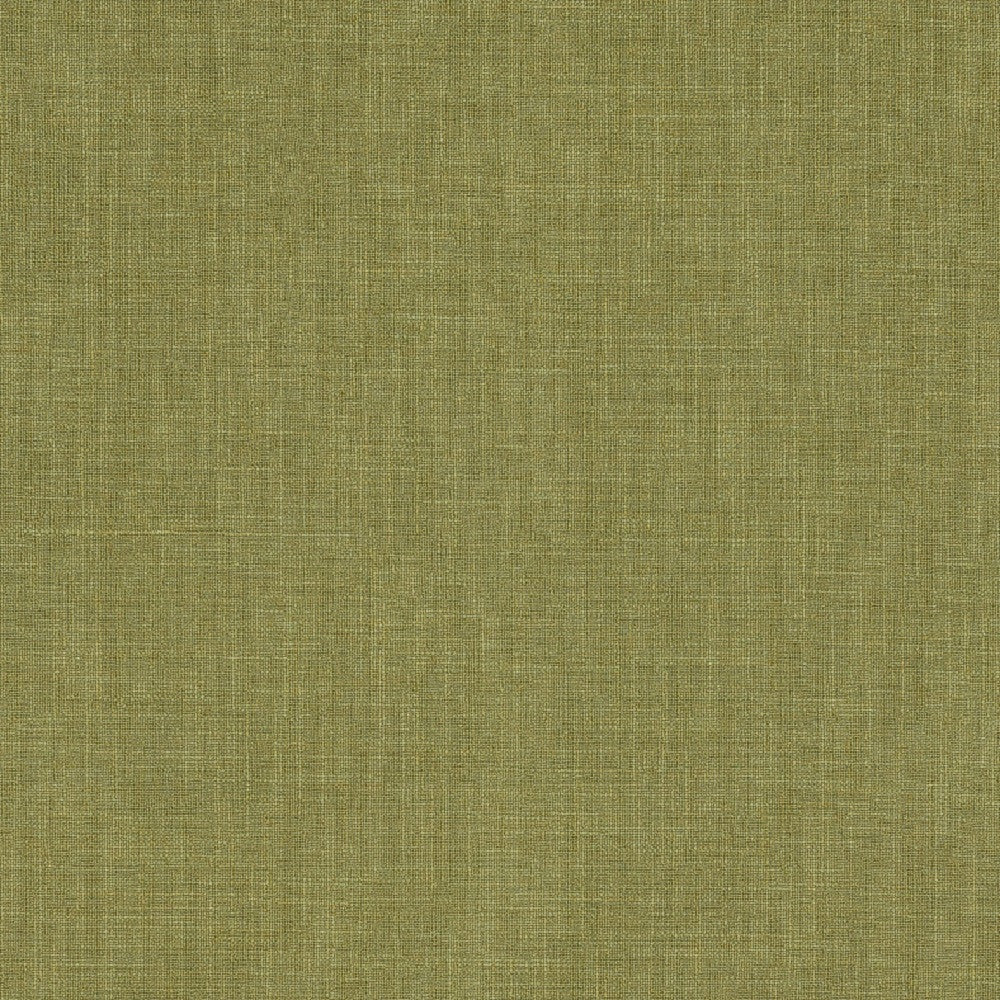Biancheria Col. Field by Europatex Fabric Biancheria 70% Linen, 16%, Rayon, 14% Polyester China 50,000 Double Rubs Horizontal: N/A and Vertical: N/A 56" - Fabric Carolina -
