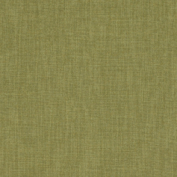 Biancheria Col. Field by Europatex Fabric Biancheria 70% Linen, 16%, Rayon, 14% Polyester China 50,000 Double Rubs Horizontal: N/A and Vertical: N/A 56" - Fabric Carolina -