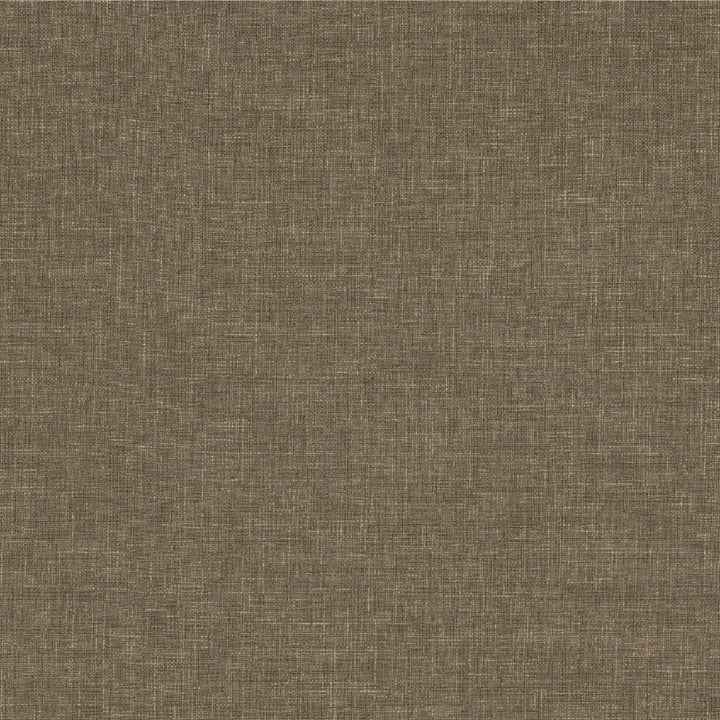 Biancheria Col. Grain by Europatex Fabric Biancheria 70% Linen, 16%, Rayon, 14% Polyester China 50,000 Double Rubs Horizontal: N/A and Vertical: N/A 56" - Fabric Carolina -