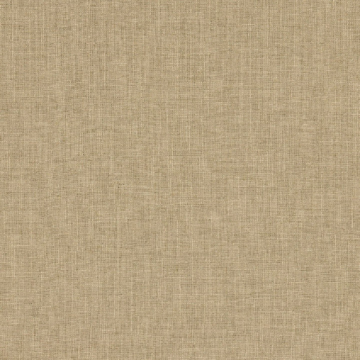 Biancheria Col. Linen by Europatex Fabric Biancheria 70% Linen, 16%, Rayon, 14% Polyester China 50,000 Double Rubs Horizontal: N/A and Vertical: N/A 56" - Fabric Carolina -