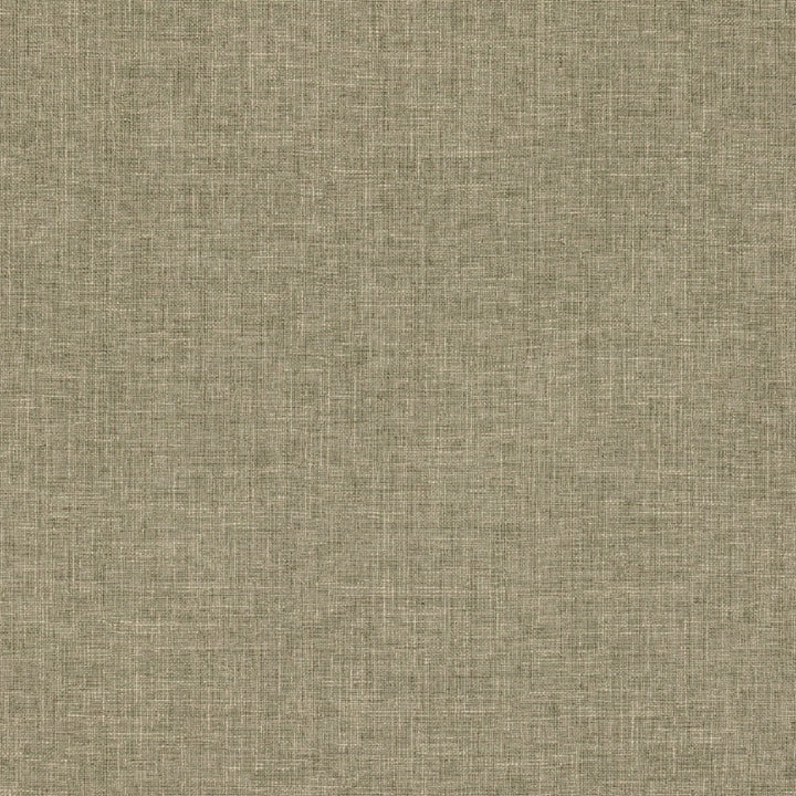 Biancheria Col. Mist by Europatex Fabric Biancheria 70% Linen, 16%, Rayon, 14% Polyester China 50,000 Double Rubs Horizontal: N/A and Vertical: N/A 56" - Fabric Carolina -