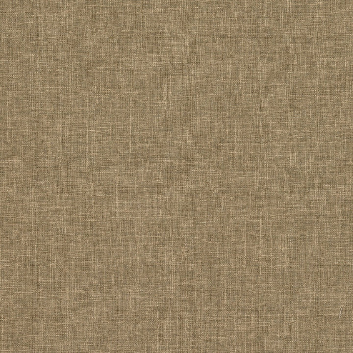 Biancheria Col. Mushroom by Europatex Fabric Biancheria 70% Linen, 16%, Rayon, 14% Polyester China 50,000 Double Rubs Horizontal: N/A and Vertical: N/A 56" - Fabric Carolina -