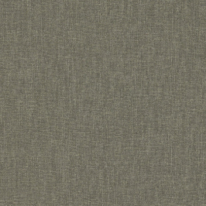 Biancheria Col. Steel by Europatex Fabric Biancheria 70% Linen, 16%, Rayon, 14% Polyester China 50,000 Double Rubs Horizontal: N/A and Vertical: N/A 56" - Fabric Carolina -