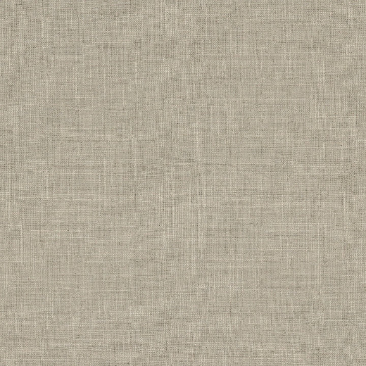 Biancheria Col. Stone by Europatex Fabric Biancheria 70% Linen, 16%, Rayon, 14% Polyester China 50,000 Double Rubs Horizontal: N/A and Vertical: N/A 56" - Fabric Carolina -