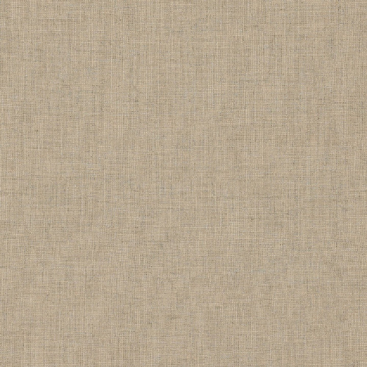 Biancheria Pebble by Europatex Fabric Biancheria 70% Linen, 16% Rayon, 14% Polyester 0.00" 56.00 inches - Fabric Carolina -