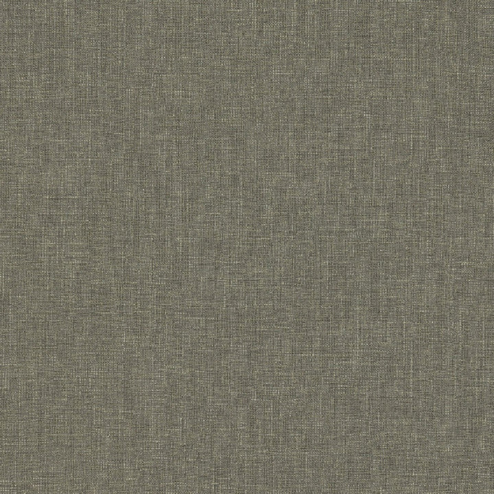 Biancheria Steel by Europatex Fabric Biancheria 70% Linen, 16% Rayon, 14% Polyester 0.00" 56.00 inches - Fabric Carolina -