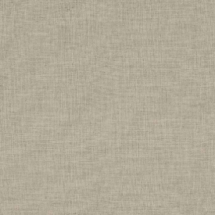 Biancheria Stone by Europatex Fabric Biancheria 70% Linen, 16% Rayon, 14% Polyester 0.00" 56.00 inches - Fabric Carolina -