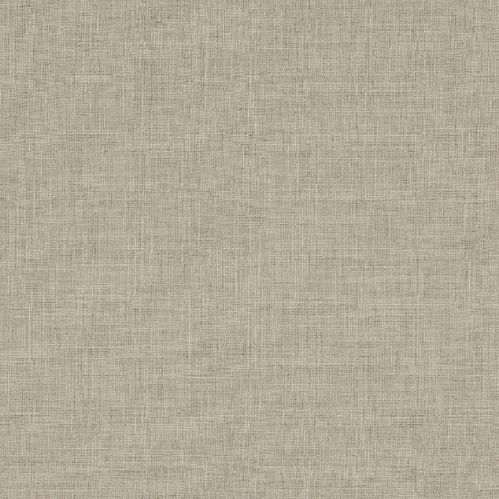 Biancheria Stone by Europatex Designer Fabric Biancheria 70% Linen, 16% Rayon, 14% Polyester 0.00" 56.00 inches - Swanky Fabrics -