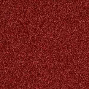 Bijou Garnet 1005251 by Crypton Fabric