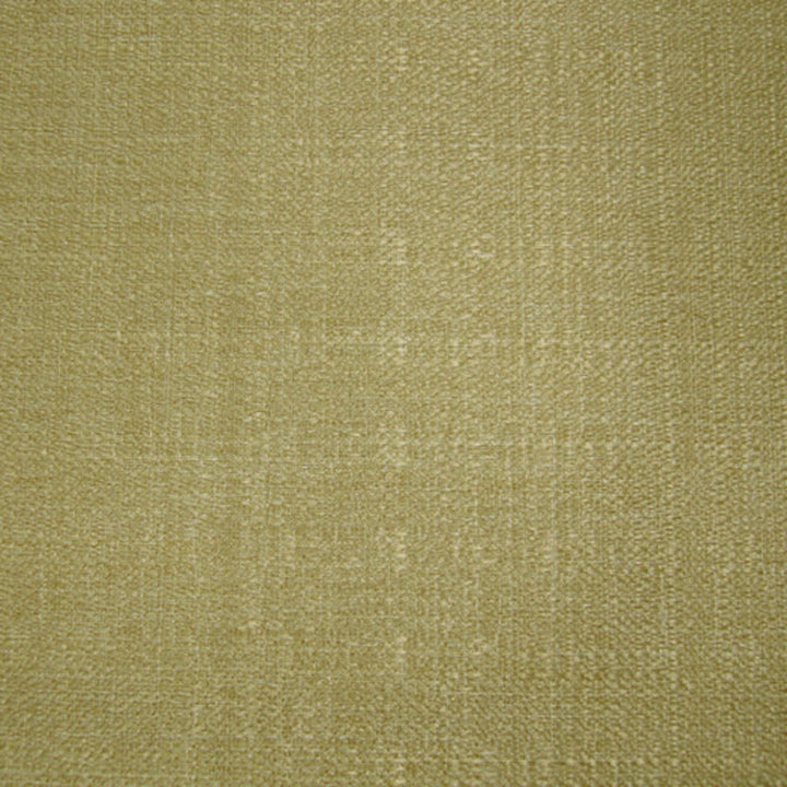 BlackOut Aloe by Europatex Fabric BlackOut 100% Polyester 0.00" 59.00 inches - Fabric Carolina -