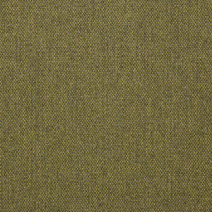 16001-0005 Blend Cactus by Sunbrella Fabric