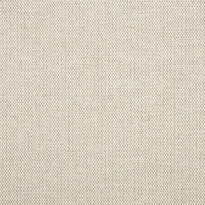 16001-0014 Blend Linen by Sunbrella Fabric