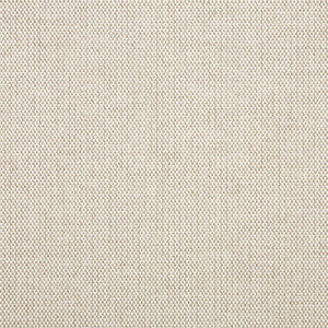 16001-0014 Blend Linen by Sunbrella Fabric