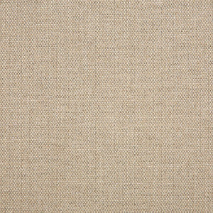 16001-0012 Blend Sand by Sunbrella Fabric