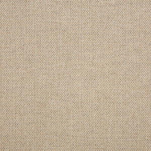 16001-0012 Blend Sand by Sunbrella Fabric