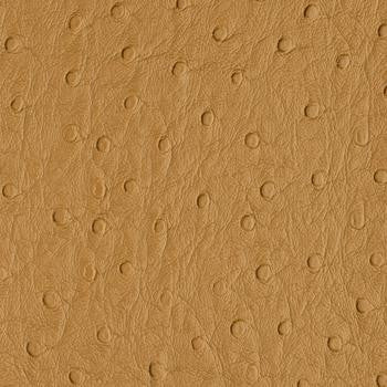 Bondi Butterscotch PBO-006 by Nassimi Fabric See sample 100% Vinyl USA or Imported Water-based cleaning agents and foam may be used for cleaning. Cleaning by a professional cleaning service is recommended. </p><p>Repeat: Horizontal: and Vertical: 54" - Fabric Carolina -