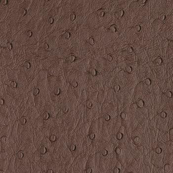 Bondi Espresso by Nassimi Fabric See sample 100% Vinyl 300000 Horizontal: Not Applicable and Vertical: Not Applicable 54" - Fabric Carolina -