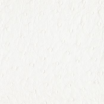Bondi Snow White PBO-003 by Nassimi Fabric See sample 100% Vinyl USA or Imported Water-based cleaning agents and foam may be used for cleaning. Cleaning by a professional cleaning service is recommended. 54 - Fabric Carolina -