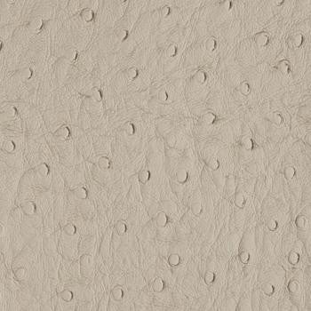 Bondi Stone PBO-004 by Nassimi Fabric See sample 100% Vinyl USA or Imported Water-based cleaning agents and foam may be used for cleaning. Cleaning by a professional cleaning service is recommended. </p><p>Repeat: Horizontal: and Vertical: 54" - Fabric Carolina -