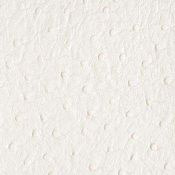 Bondi White Heron PBO-005 by Nassimi Fabric our website for purchase 100% Vinyl USA or Asia Water-based cleaning agents and foam may be used for cleaning. This fabric may also be cleaned with mild, water-free solvents. Cleaning by a professional cleaning service is recommended. Horizontal: - and Vertical: - 54" - Fabric Carolina -