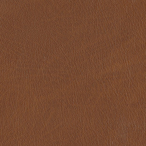 Bourbon Street Brandy BB 51 by Naugahyde Fabric