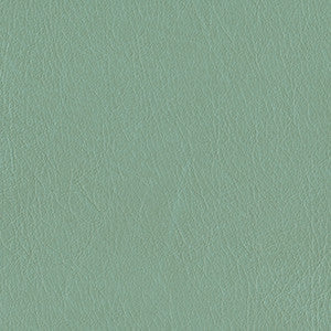 Bourbon Street Laurel by Naugahyde Fabric