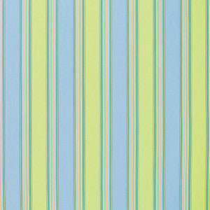 5602 Bravada Limelite by Sunbrella Fabric
